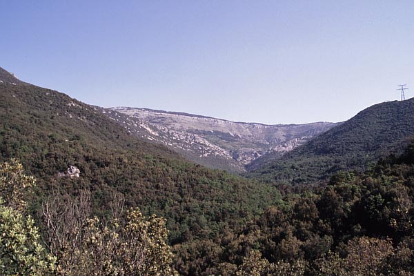 Blick zurück