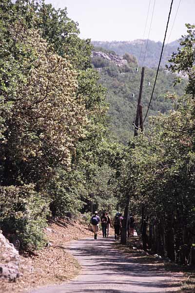 Strasse nach St Vallier de Thiey