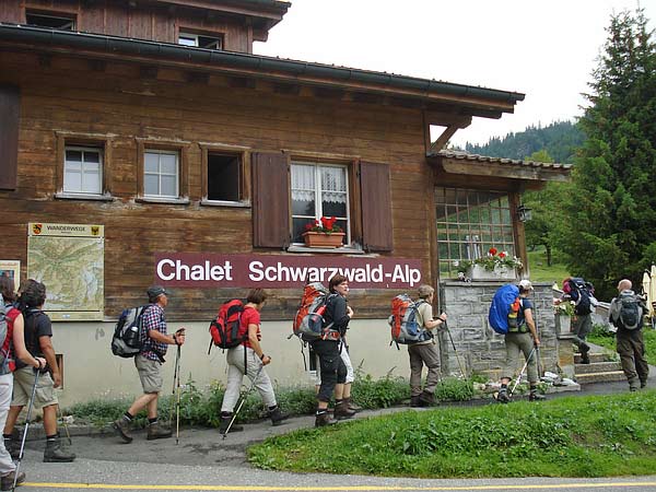 Schwarzwald-Alp