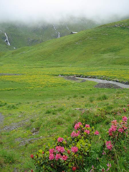 Obersten Breitenboden