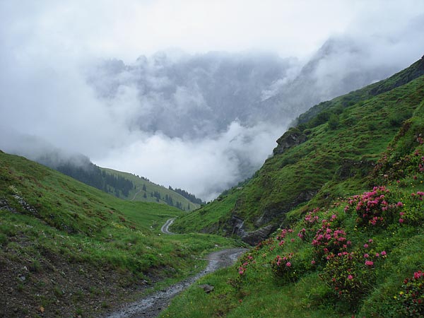 Blick zurück ins Tal