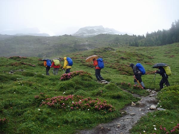 Eiger Trail