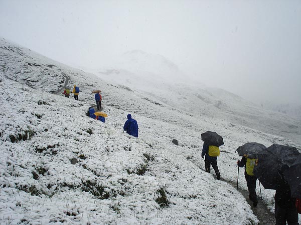 Eiger Trail