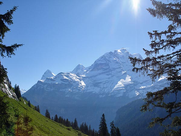 Blick auf die Jungfrau