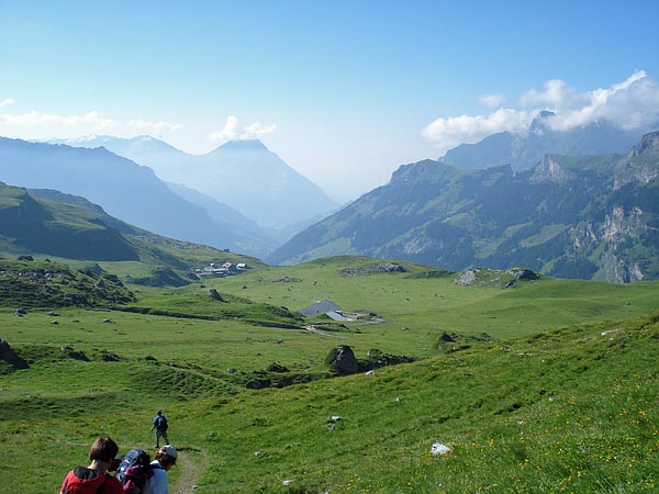 Blick über das Kiental zum Niesen 