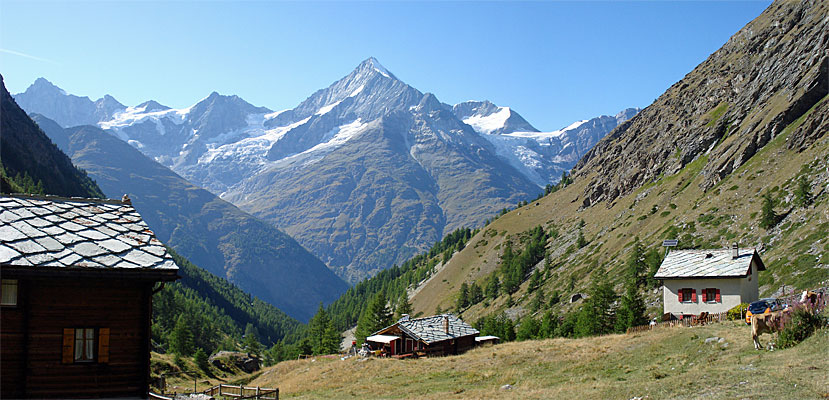 Blick von der Täschalp zum Weisshorn (4506m)