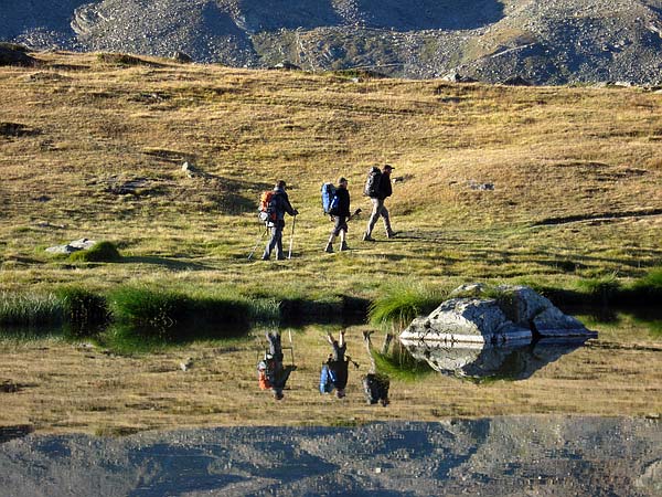 Wasserspiegelung am Stellisee