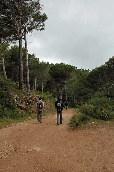 Am Pass Coll de sa Gramola