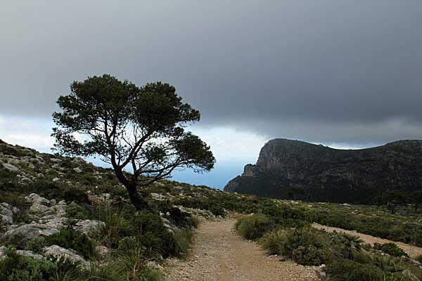 Blick zum Puig Roig