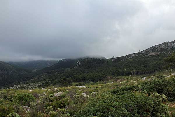 Penyals de s'Evangèlica