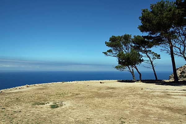 Der Dreschplatz am Meer