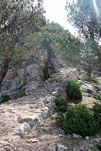 Auf dem Camí de s'Arxiduc