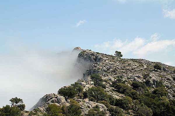 Der Gipfel des Puig Caragolí