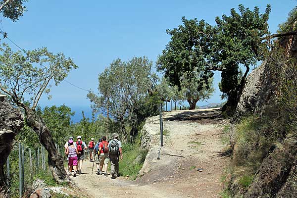 Die letzten Meter nach Deià