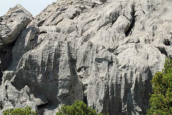 Kalksteinfelsen am Puig de Massanella