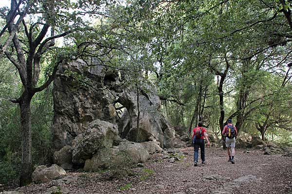 Kalksteinfelsen an der Carretera vella de Pollença