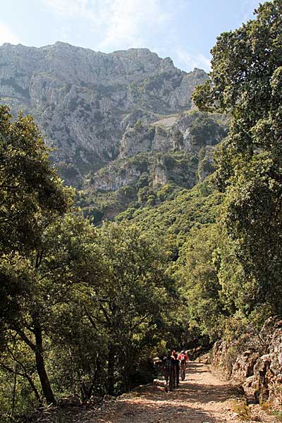 Auf dem Camí Vell de Pollença