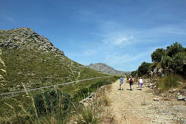 Weg zum Pass Coll de Síller