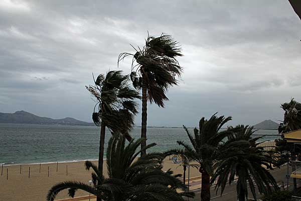 Ein windiger Morgen in Port de Pollenca