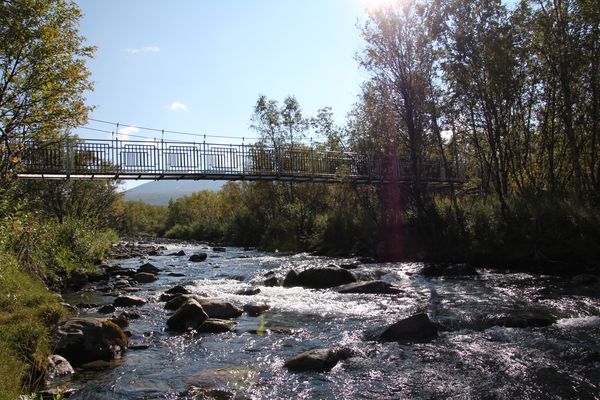 Hängebrücke über den Ballinjohka