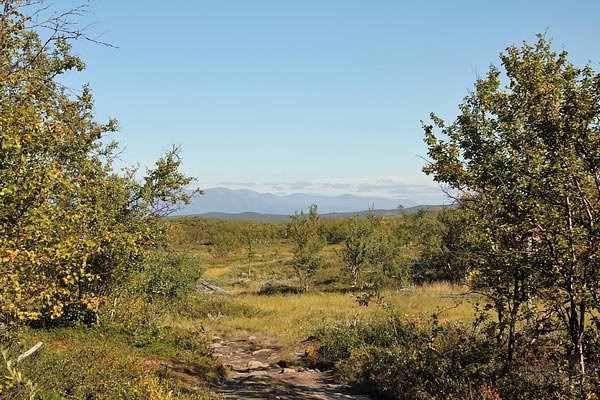 Unterwegs auf dem Kungsleden