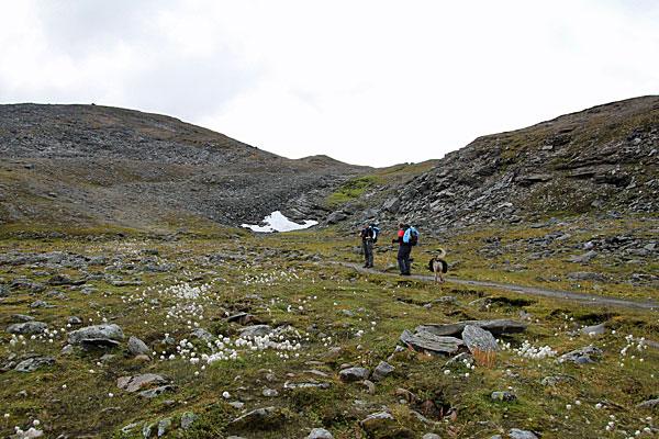 Die letzten Höhenmeter zum Tjäktja-Pass