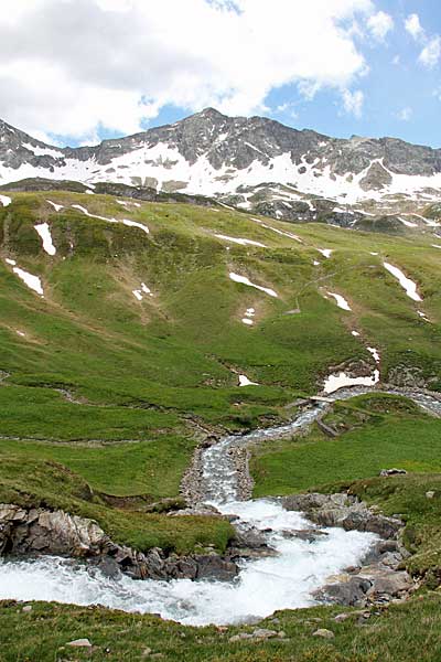 Murinascia Grande