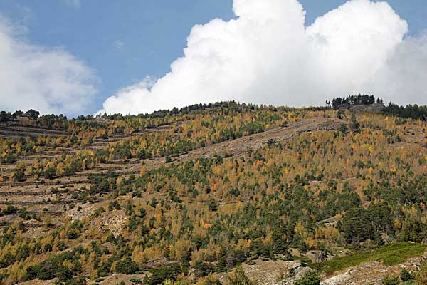 Herbstliche Farben im Rhonetal