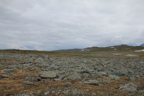 Blockfeld am Suottasjjåhkå