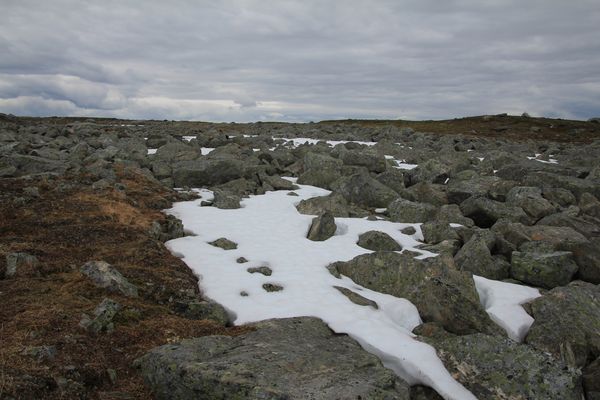 Blockfeld mit Schnee