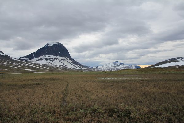 Feuchtgebiet zwischen Suottasjjåhkå und Suottasjjávrre