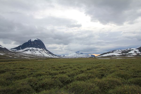 Feuchtgebiet zwischen Suottasjjåhkå und Suottasjjávrre