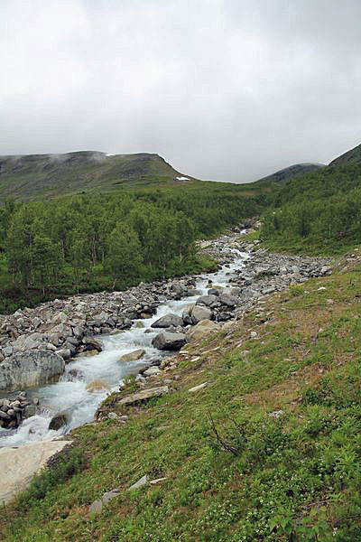 Am Alep Vassjajåkåtj