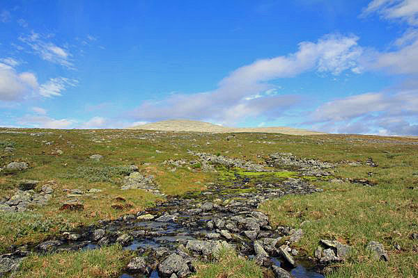 Bach im Kalfjäll