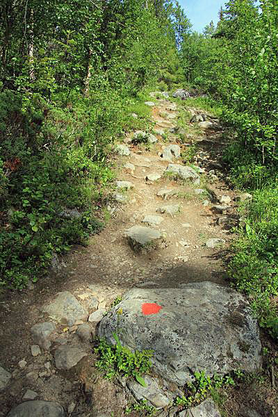 Auf dem Kungsleden