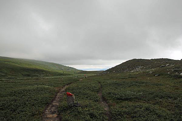 Der Kungsleden hoch über dem Rittak