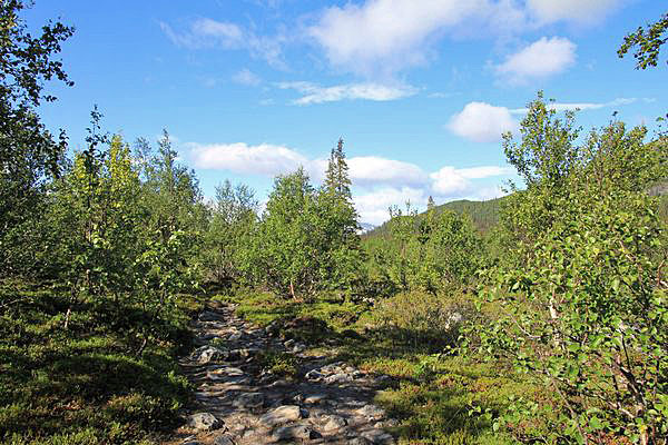 Kungsleden