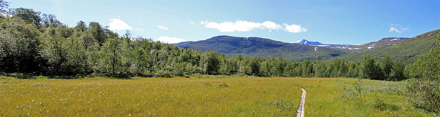 Feuchtwiesen im Tarradalen