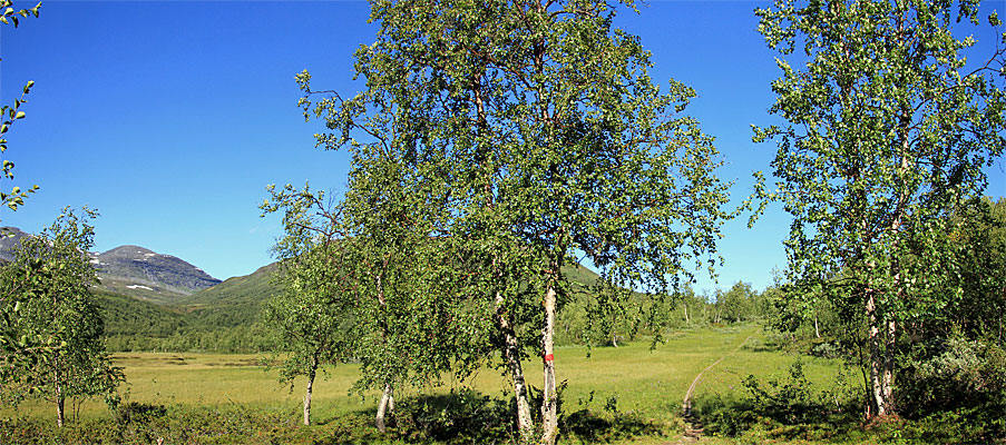 Padjelantaleden im Terradalen