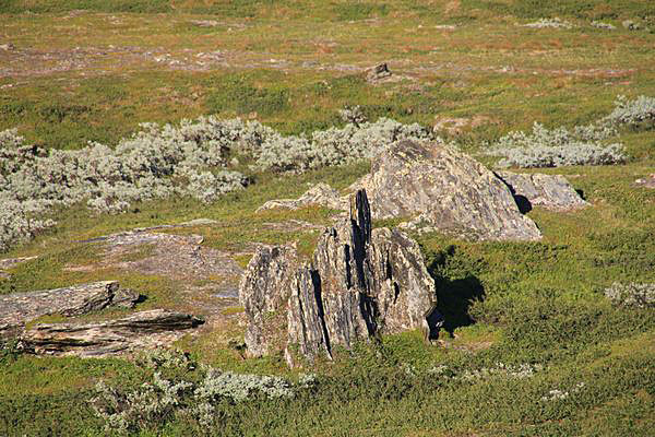 Felsen am Ufer des Bållávrjåhkå