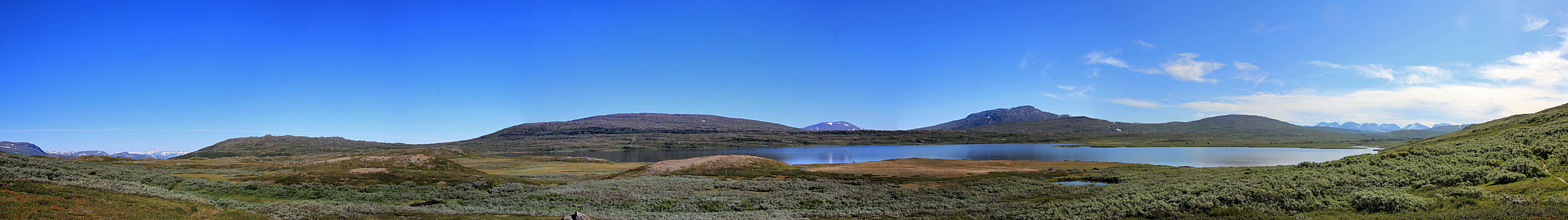 Weidenbüsche am Ufer des Gieddávrre