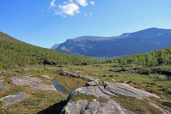 Felsen am Ufer des Tjäktjajåkka