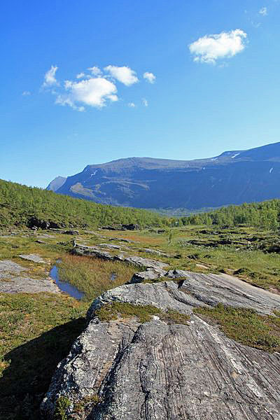 Felsen am Ufer des Tjäktjajåkka