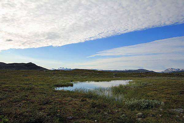 Tümpel mit dem Storsteinsfjellet im Hintergrund