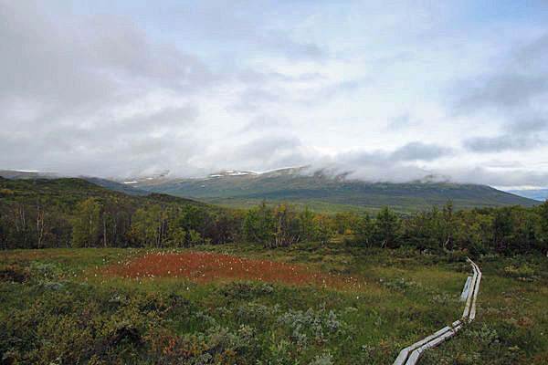 Abstieg zum Kungsleden