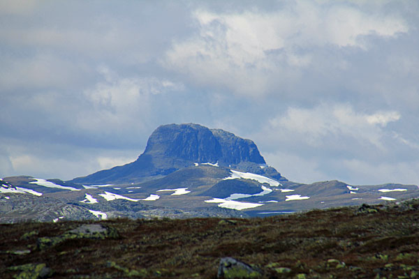 Hårteigen