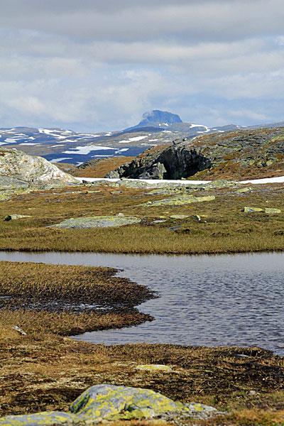 Hårteigen