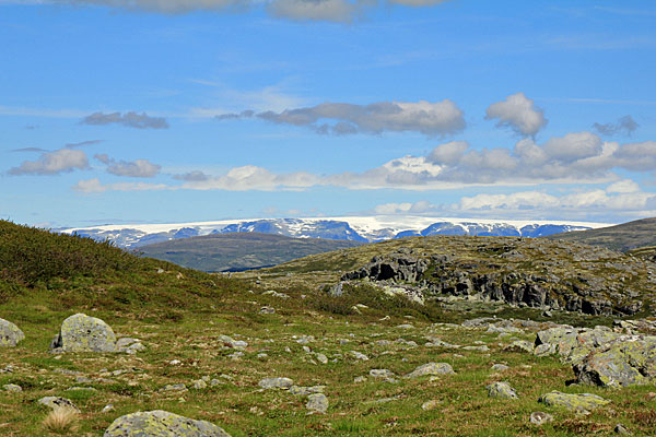 Blick zum Hardangerjøkulen