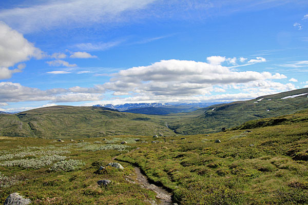 Blick zum Hardangerjøkulen vom Storoksla