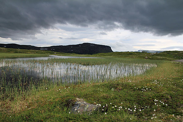 Plateau vor Smyttet